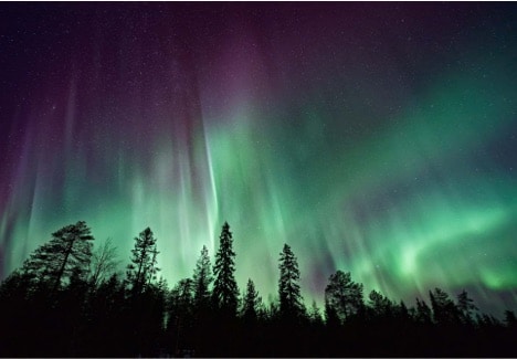 Featured image for “Wood Buffalo National Park”