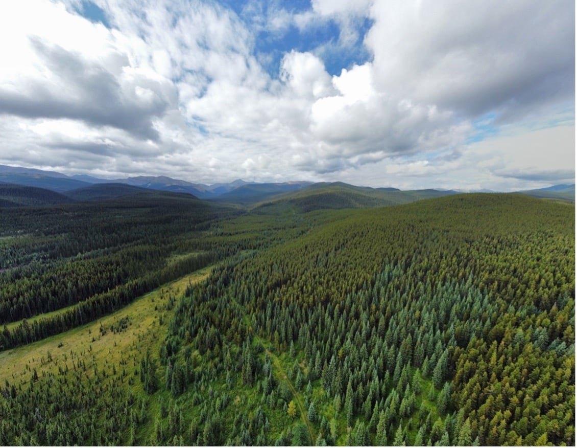 Featured image for “CPAWS Northern Alberta Gets Full Participation in Summit Coal Inc.’s Mine 14 Hearing”